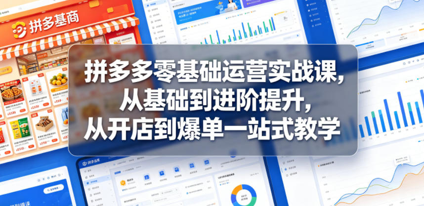 拼多多零基础运营实战课，从基础到进阶提升，从开店到爆单一站式教学-皮皮网创