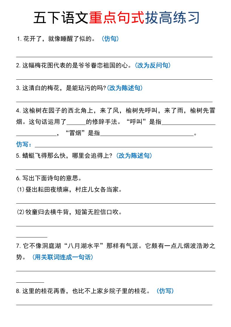 五年级下语文《重点句式》拔高练习-皮皮网创