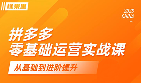 仙道电商·拼多多零基础运营实战课-皮皮网创