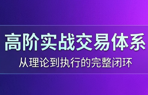 高老师·高阶实战交易体系(更新6月)-皮皮网创