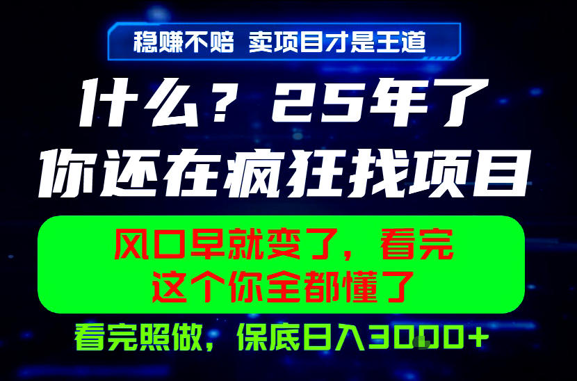 26年,请不要疯狂的找项目做了!卖项目才是真的稳賺不赔,看完照做,保底日入1k+【揭秘】-皮皮网创