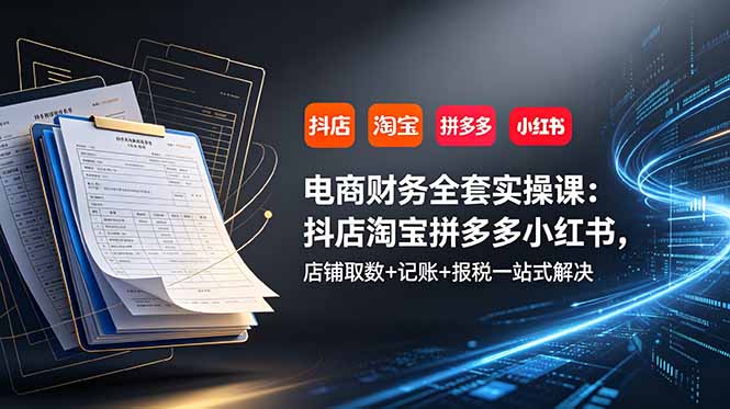 电商财务全套实操课：抖店淘宝拼多多小红书，店铺取数+记账+报税一站式解决-皮皮网创
