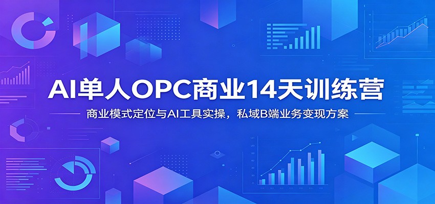 AI单人OPC商业14天训练营:商业模式定位与AI工具实操,私域B端业务变现方案-皮皮网创