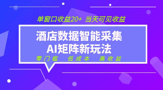 2026酒店数据采集ai智能矩阵新风口  低成本   高收益   当天见收益   单窗口20+-皮皮网创