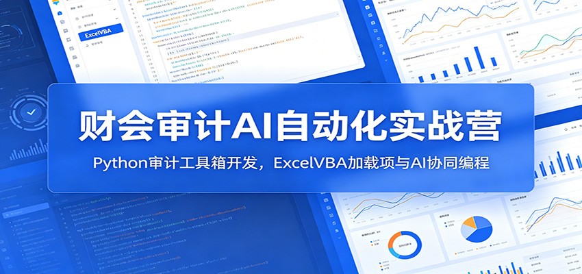 财会审计AI自动化实战营：Python审计工具箱开发，ExcelVBA加载项与AI协同编程-皮皮网创
