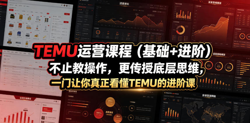 TEMU运营课程(基础+进阶)，不止教操作，更传授底层思维，一门让你真正看懂TEMU的进阶课-皮皮网创