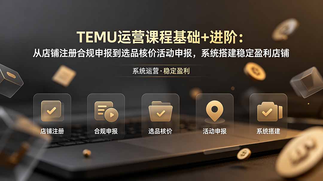 TEMU运营课程(基础+进阶-皮皮网创