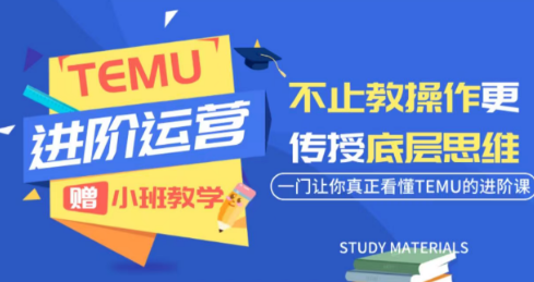 阿卡林·TEMU运营课程(基础+进阶)-皮皮网创