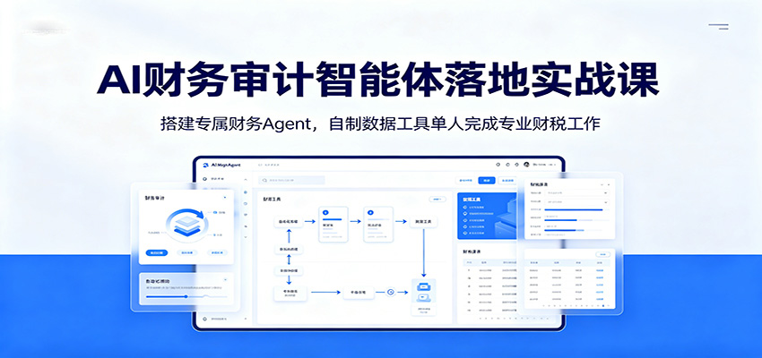 AI财务审计智能体落地实战课：搭建专属财务Agent，自制数据工具单人完成专业财税工作-皮皮网创