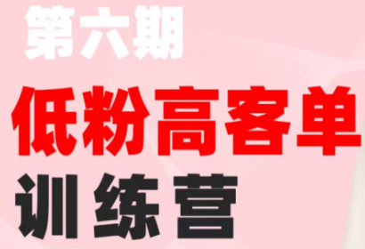 珠丽Julie·小红书低粉高客单训练营(第六期)-皮皮网创