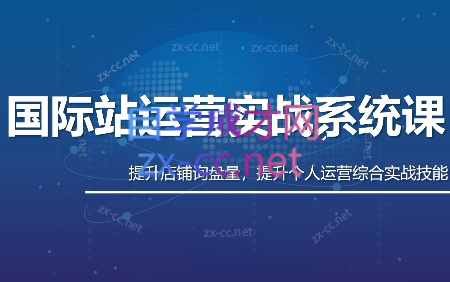 白老师·国际站运营实战系统(高质量询盘增长课)(更新)-皮皮网创