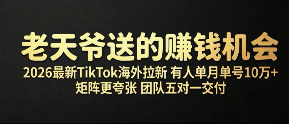 老天爷送的賺钱机会！2026最新TikTok海外拉新，有人单月单号10W+，矩阵更夸张，团队交付【揭秘】-皮皮网创