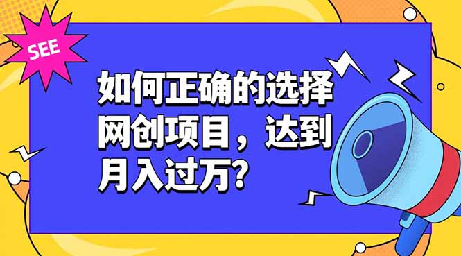 如何正确的选择网创项目,达到月入过万?,本课程教你正确选择项目。-皮皮网创