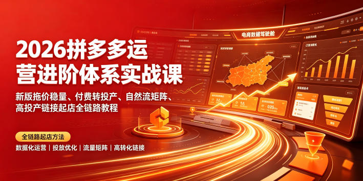 2026拼多多运营进阶体系实战课|新版拖价稳量、付费转投产、自然流矩阵、高投产链接起店全链路教程-皮皮网创