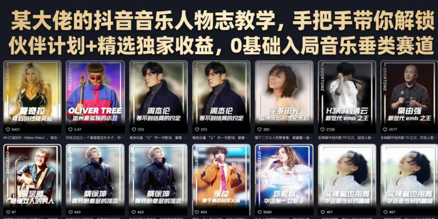 某大佬的抖音音乐人物志教学,手把手带你解锁伙伴计划+精选独家收益,0基础入局音乐垂类赛道-皮皮网创