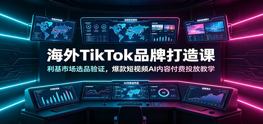 海外TikTok品牌打造课:利基市场选品验证,爆款短视频AI内容付费投放教学-皮皮网创