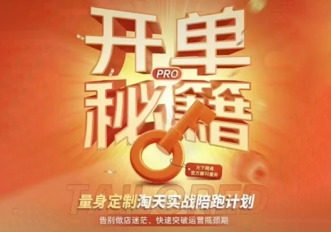 天下网商·淘宝天猫陪跑计划(更新7月)-皮皮网创