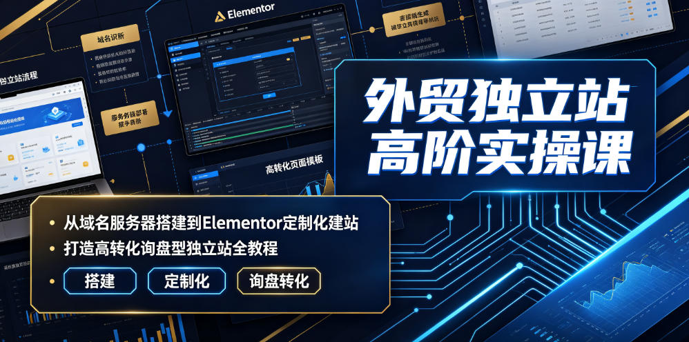 外贸独立站高阶实操课｜从域名服务器搭建到Elementor定制化建站，打造高转化询盘型独立站全教程-皮皮网创