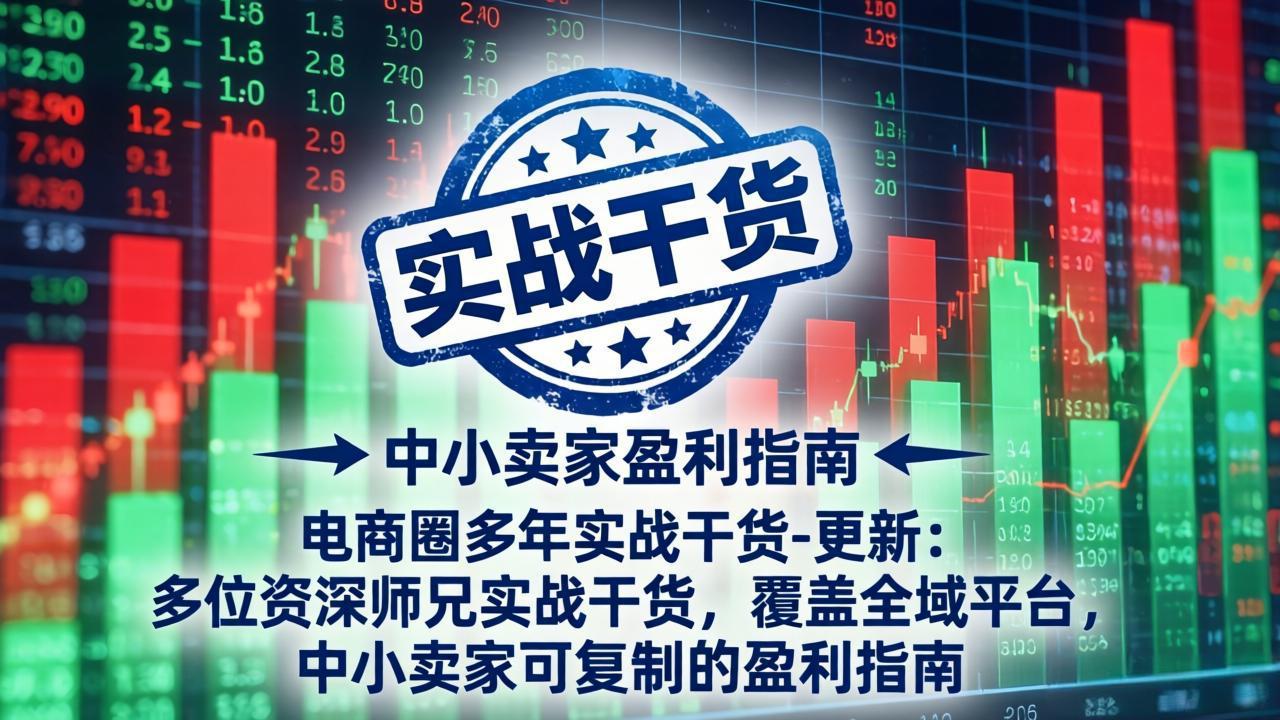 电商圈多年实战干货-更新2026：多位资深师兄实战干货/覆盖全域平台，中小卖家可复制的盈利指南-皮皮网创