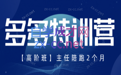 纪主任·拼多多特训营(更新8月)-皮皮网创