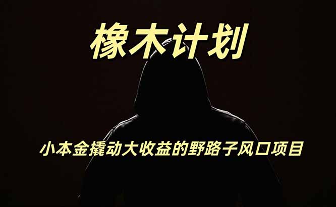 橡木计划,小投入撬动高回报的风口野路子项目,一天投入2小时左右-皮皮网创