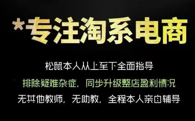 松鼠会电商VIP课程,从基础布局到高阶优化,助你掌握淘宝运营逻辑,提升店铺流量与转化(更新0809)-皮皮网创