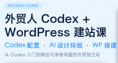 大卫·外贸人Codex + WordPress建站课(更新8月)-皮皮网创