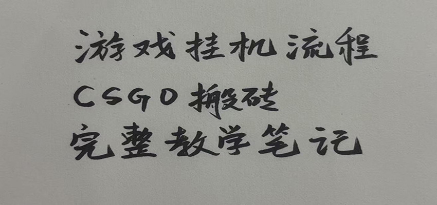 游戏挂机全流程笔记分享,CSGO游戏搬砖,小白看了当天学会见收益-皮皮网创