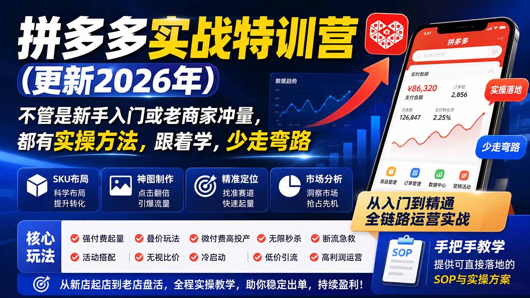 拼多多实战特训营(更新2026年-皮皮网创