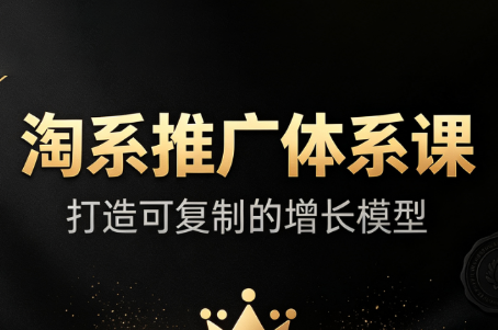 大山·淘系推广体系课-皮皮网创