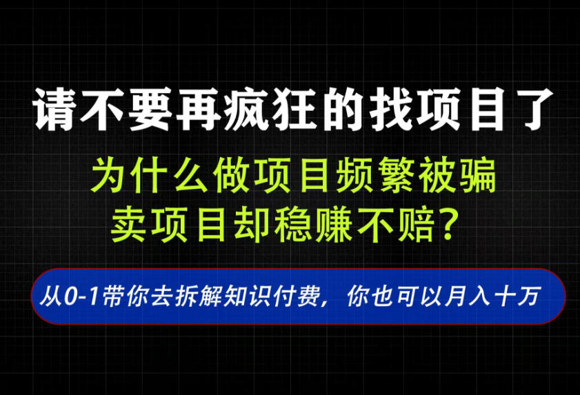 找项目?别傻了!卖项目才是真的一本万利!看完你全都懂了【揭秘】-皮皮网创