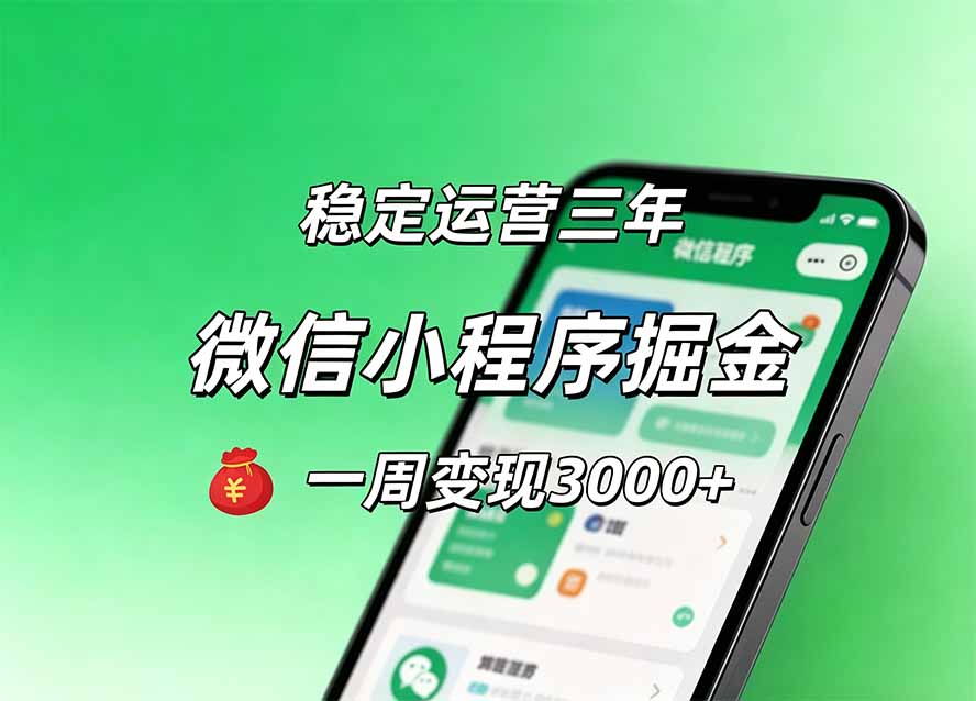 月收益稳定1W+的微信小程序，前期积累客户，后期躺平养老，小白轻松上手-皮皮网创