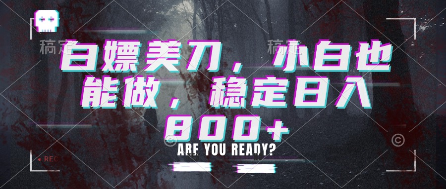 白嫖美刀,小白也能做,稳定日入800+-皮皮网创
