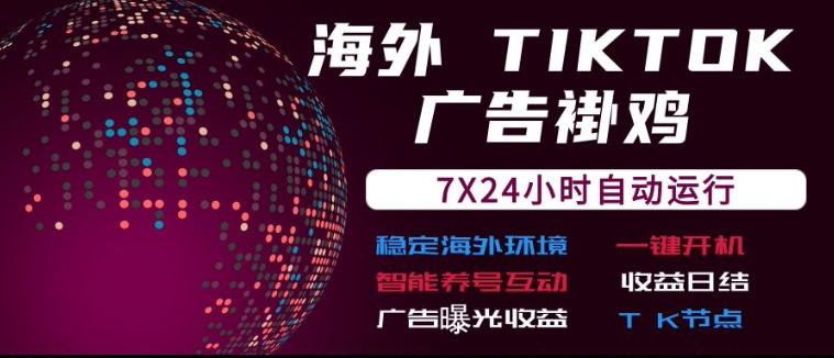 海外TikTok挂G流量变现,7X24自动运行,广告曝光收益,收益日结【揭秘】-皮皮网创