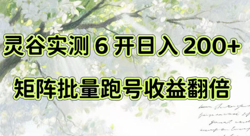 一台电脑就能做!灵谷实测6开日入200+,矩阵批量跑号收益翻倍【揭秘】-皮皮网创