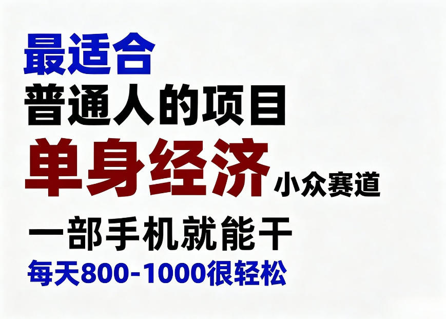 身经济小众赛道，一部手机就能干，每天搞个800-1000很轻松，最适合普通人的项目【揭秘】-皮皮网创