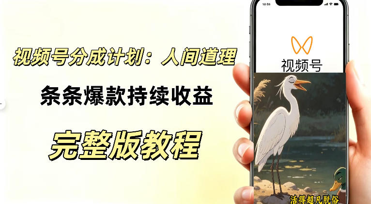 视频号新玩法之AI动漫画风励志视频,不用会画画、不用拍摄,持续化收益,详细拆解-皮皮网创