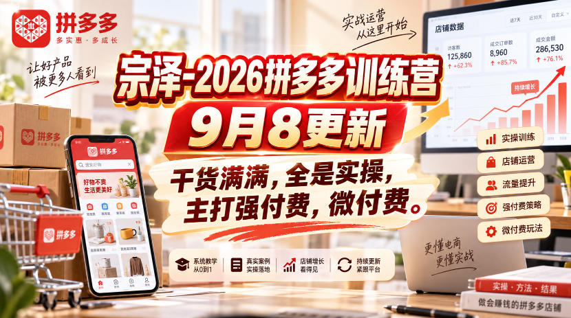 宗泽-2026拼多多训练营9月8更新,干货满满,全是实操,主打强付费,微付费-皮皮网创