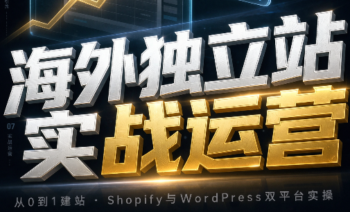 海外独立站实战运营-皮皮网创