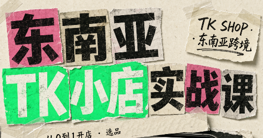 东南亚TK小店实战课(基础+进阶)-皮皮网创