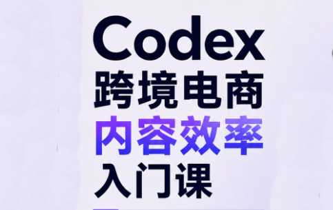 Codex跨境电商内容效率入门课-皮皮网创
