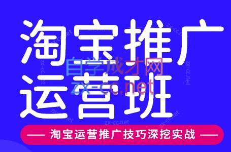 美迪电商·淘宝高级运营班+推广运营班(更新9月)-皮皮网创