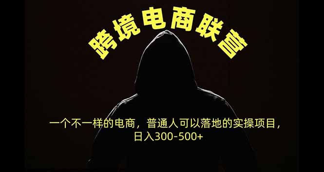 跨境电商联营，一个不一样的电商，普通人可操作日入300-500+-皮皮网创