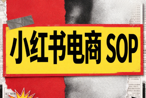 书豪必胜小红书电商sop(更新9月)-皮皮网创