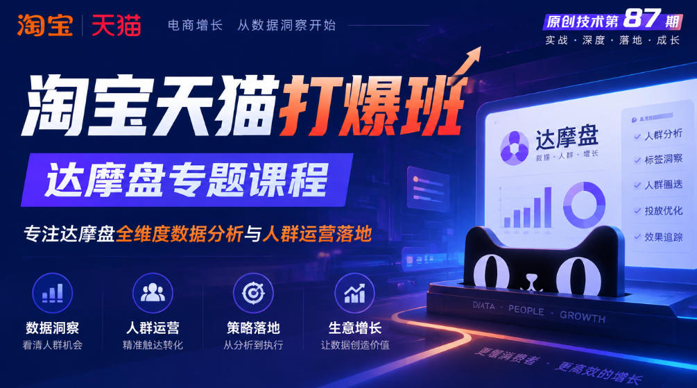 《淘宝天猫打爆班》原创技术第87期，达摩盘专题课程，专注达摩盘全维度数据分析与人群运营落地-皮皮网创