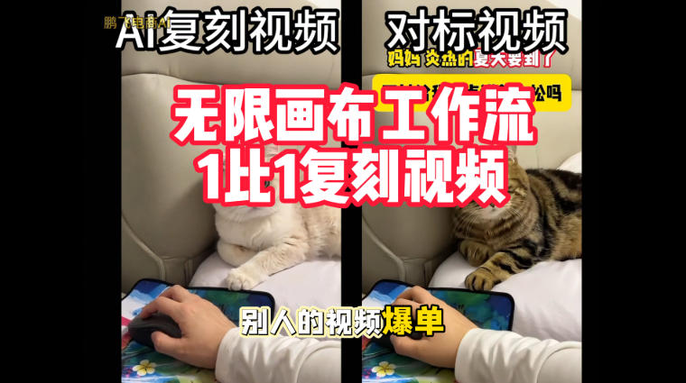 宠物带货视频复刻,无限画布工作流1比1,不用拍摄、不用布景、不用真人出镜,几分钟就能做出一条专业带货视频-皮皮网创