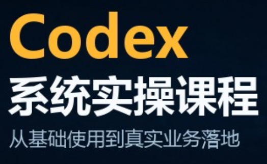 codex系统实操课程(更新10月)-皮皮网创