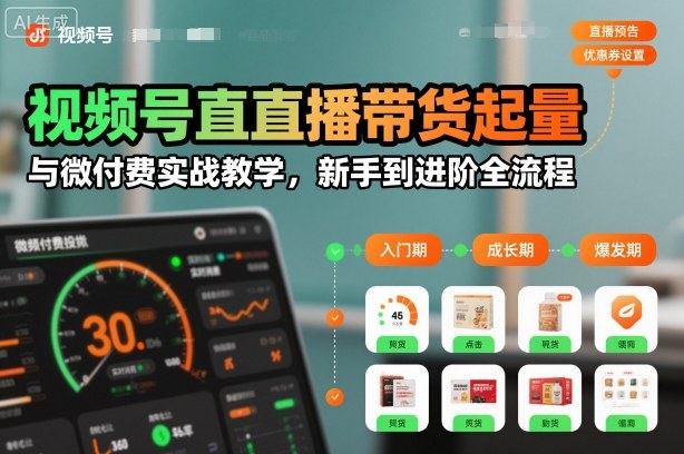 视频号直播带货起量与微付费实战教学，新手到进阶全流程(更新26年10月)-皮皮网创