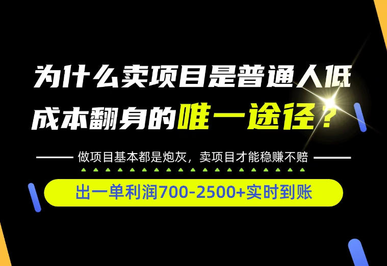 普通人如何靠互联网賺取自己的第一桶金!全类目实操型教学,看完你全都懂了!【揭秘】-皮皮网创