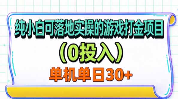 纯小白可落地实操的游戏打金项目(0投入-皮皮网创